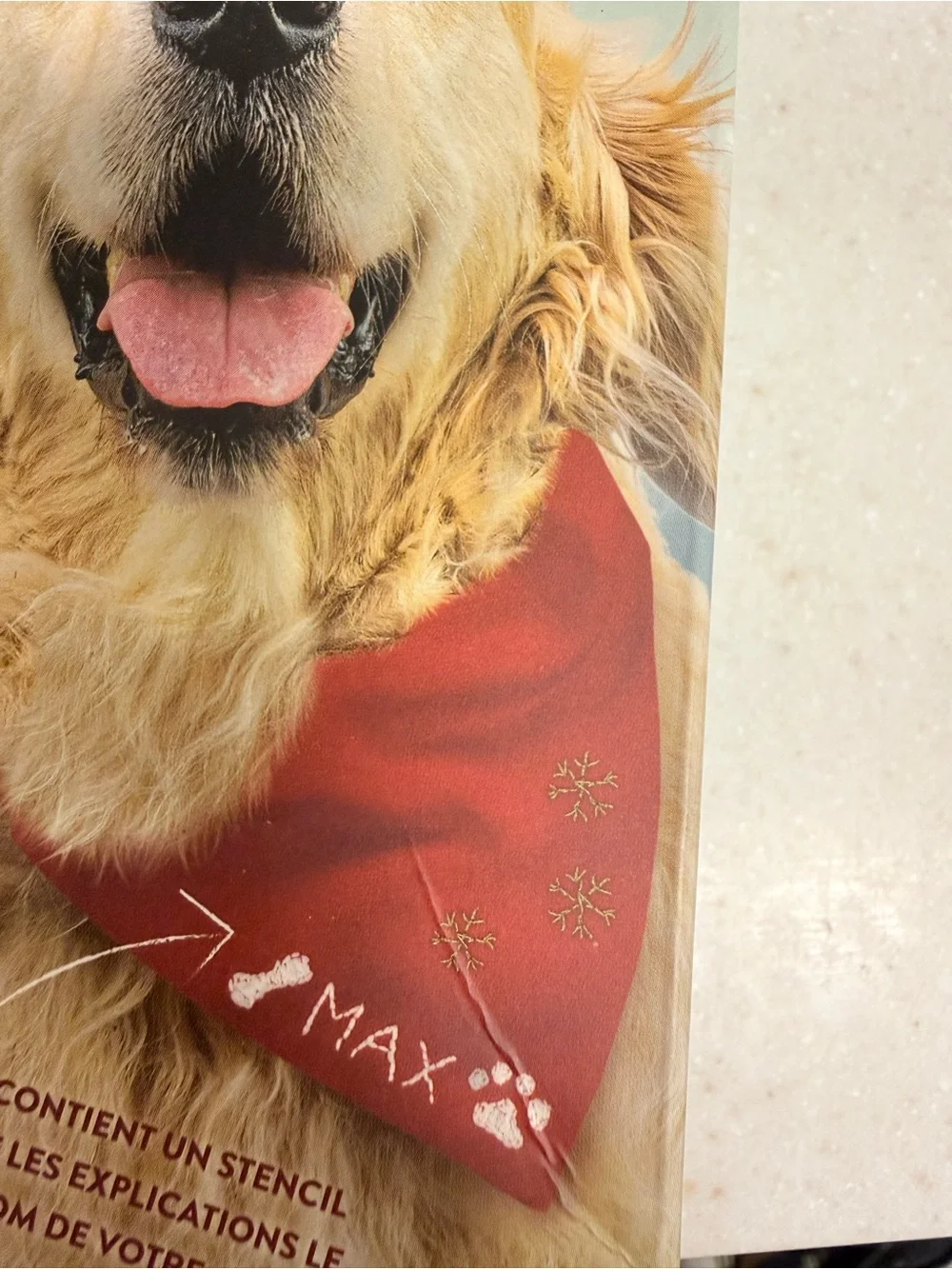 Source Unknown Festive Dog Bandana - Red